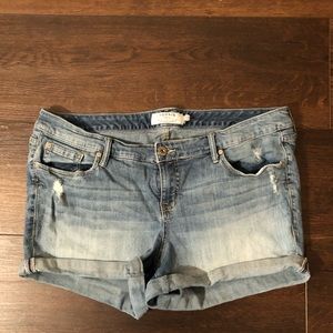 Torrid Denim Jeans